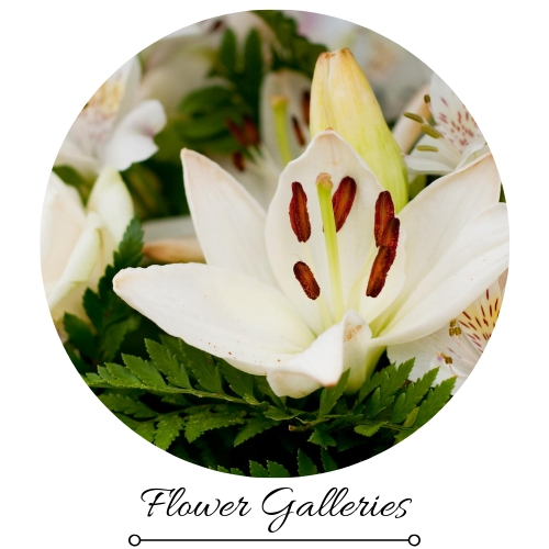 flower galleries